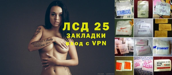 гидра Аркадак