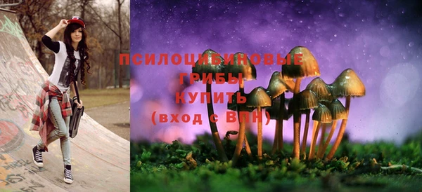 гидра Аркадак