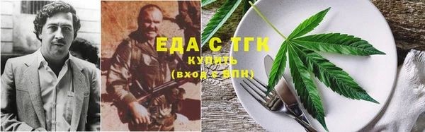 гидра Аркадак