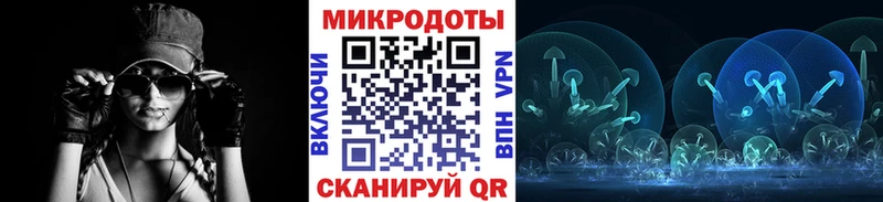 Псилоцибиновые грибы Psilocybe  Полярные Зори 