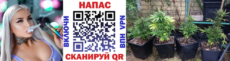 ОМГ ОМГ зеркало  купить наркотик  Полярные Зори  Каннабис гибрид 